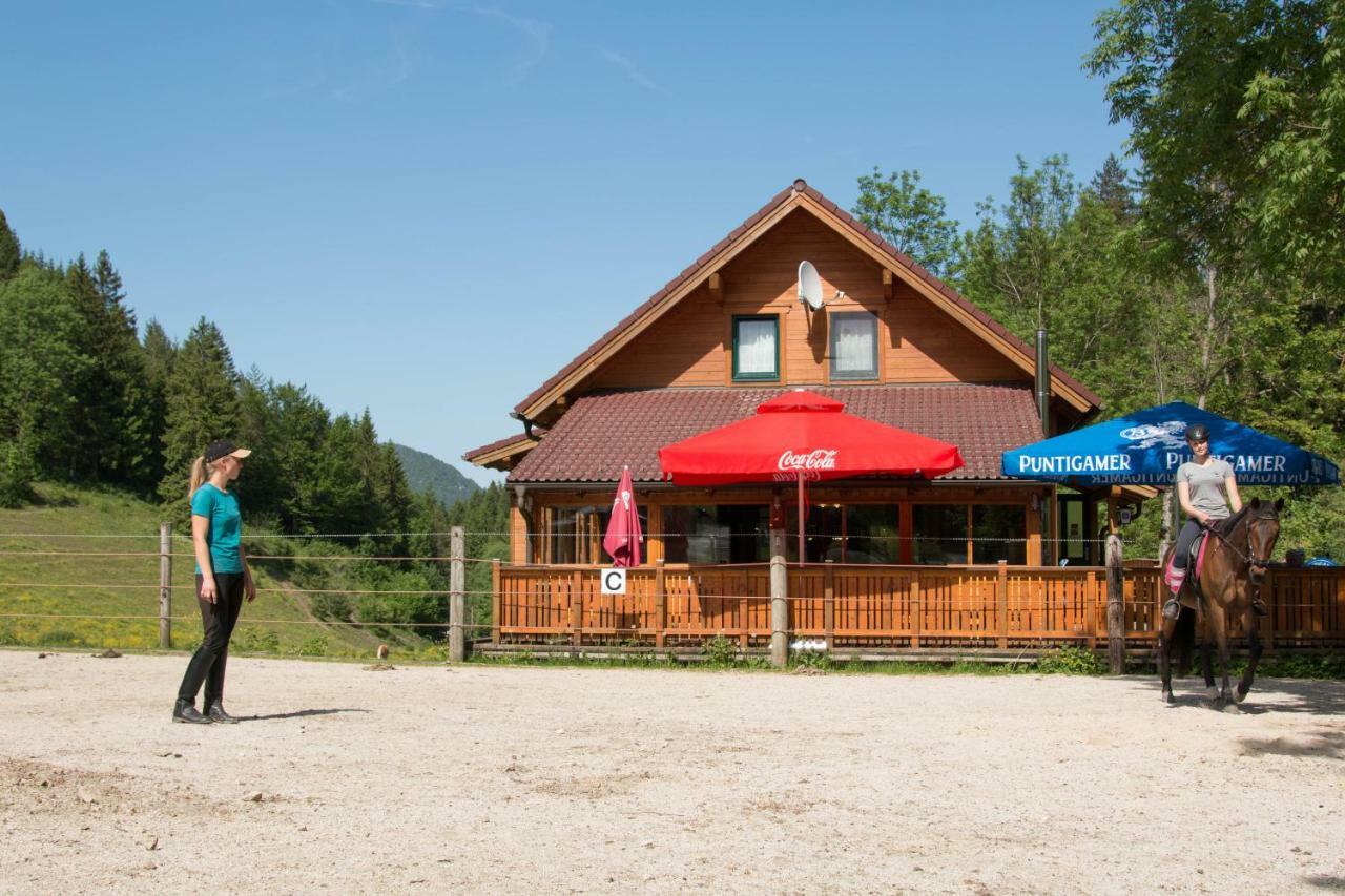 Reiterbauernhof Maho Villa Sankt Aegyd am Neuwalde Exteriör bild