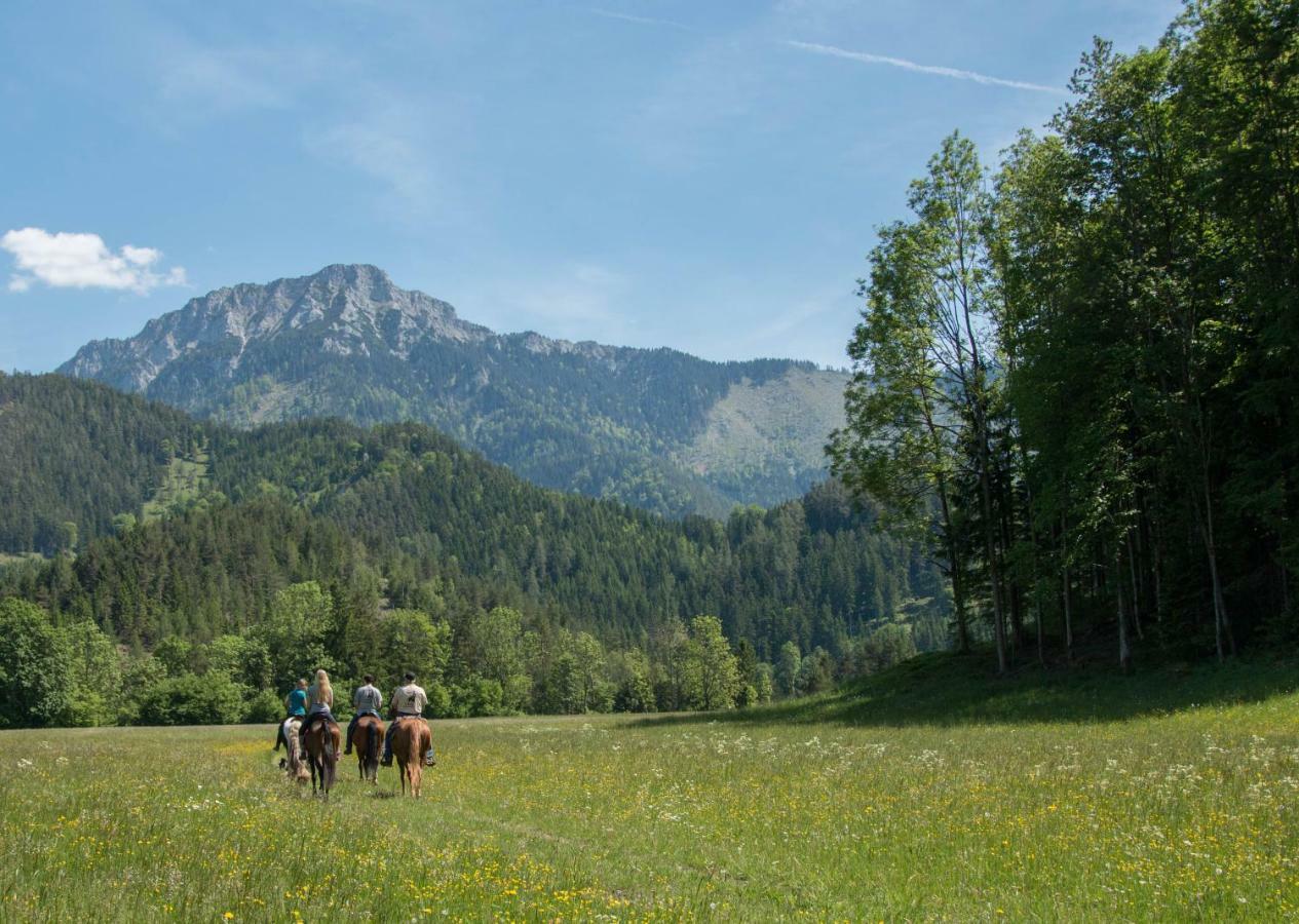 Reiterbauernhof Maho Villa Sankt Aegyd am Neuwalde Exteriör bild