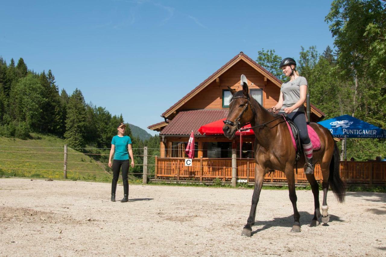 Reiterbauernhof Maho Villa Sankt Aegyd am Neuwalde Exteriör bild